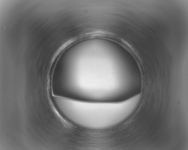 X0000078881418200611131042