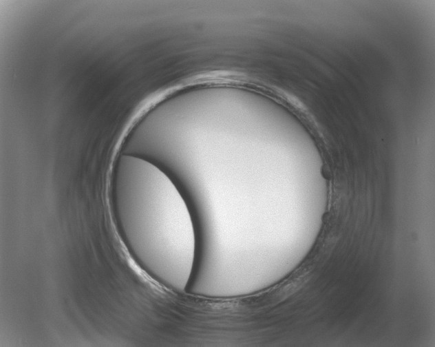 X0000078881421200611131042