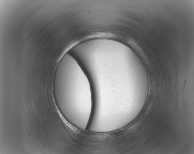 X0000078881425200611131042