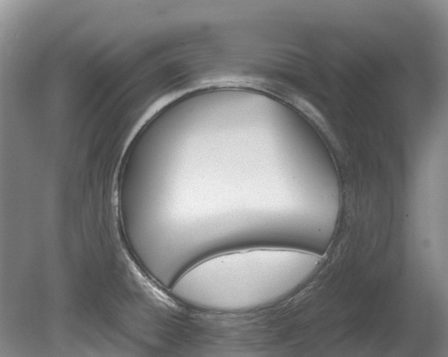 X0000078881428200611131042
