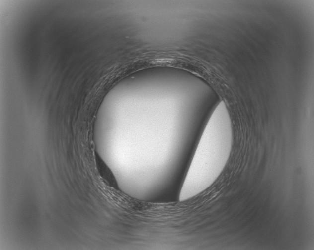 X0000078881441200611131042