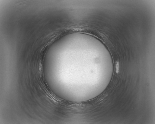 X0000078881444200611131041