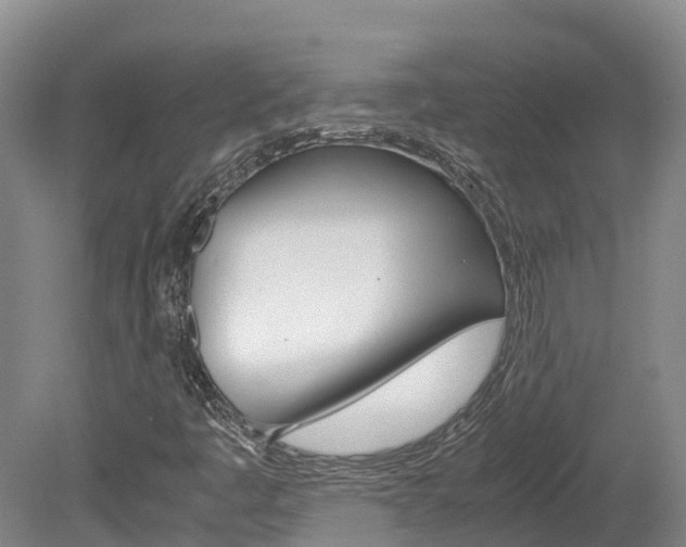 X0000078881445200611131041