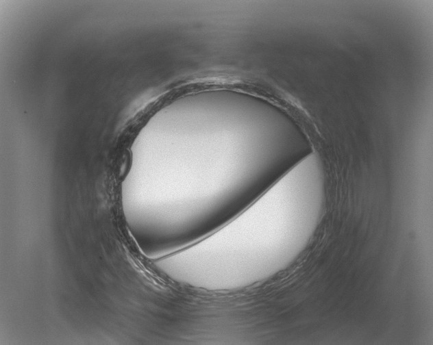 X0000078881448200611131041