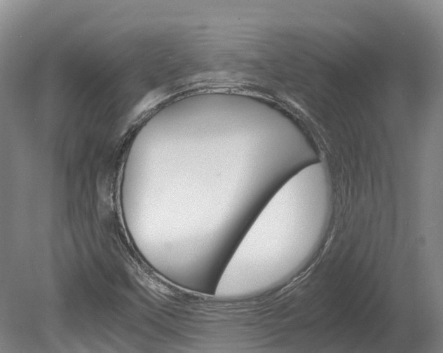 X0000078881451200611131041