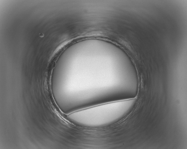 X0000078881452200611131041