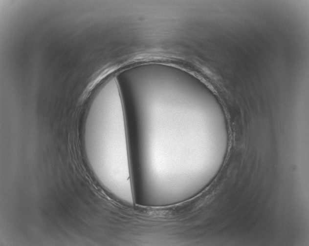 X0000078881453200611131041