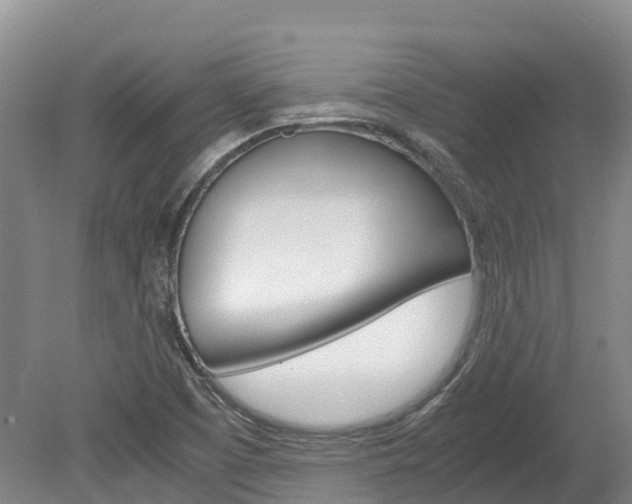 X0000078881457200611131041