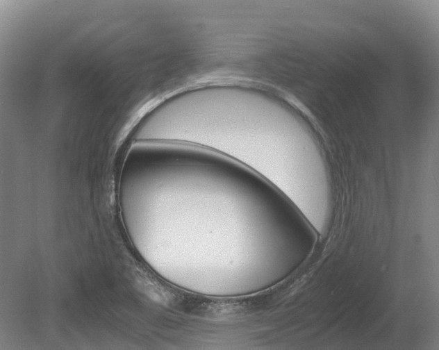 X0000078881461200611131041