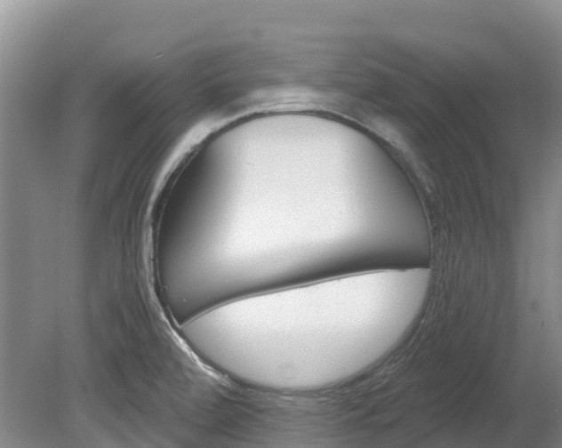X0000078881472200611131041