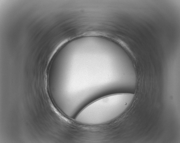 X0000078881476200611131041