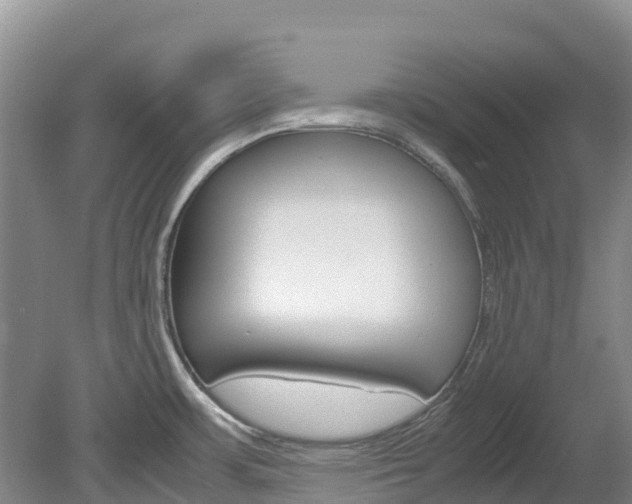 X0000078881483200611131041