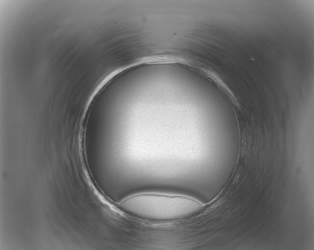 X0000078881484200611131041