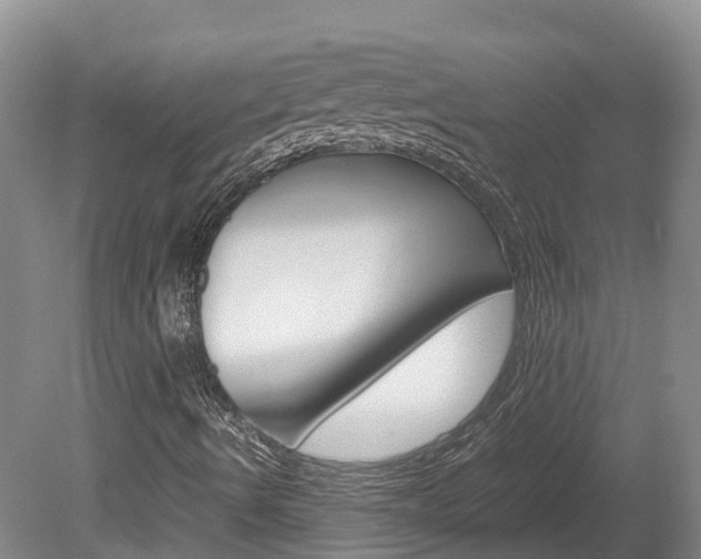 X0000078881490200611131040