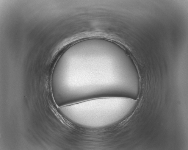X0000078881499200611131040
