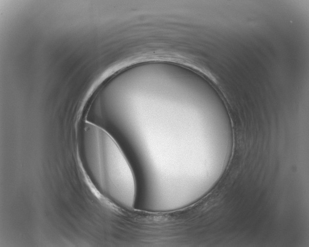 X0000078881515200611131040