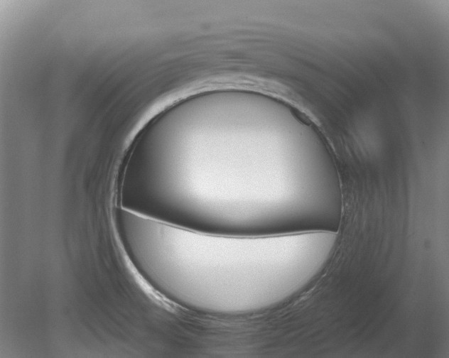 X0000078881523200611131040