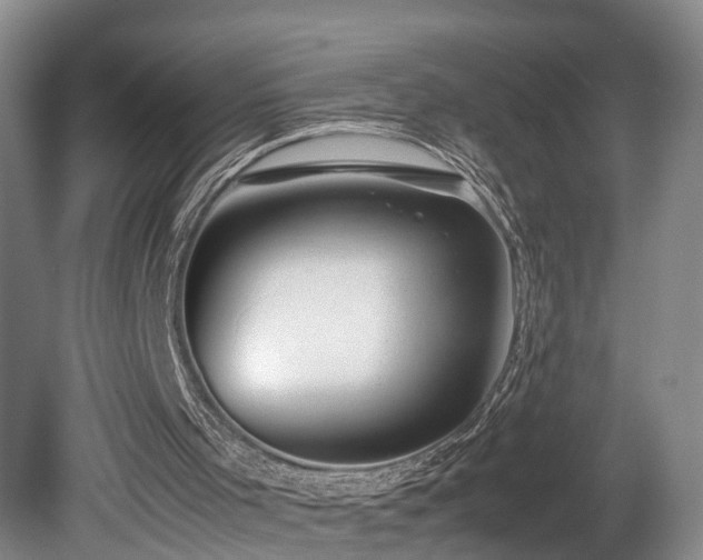 X0000078880001200611131255