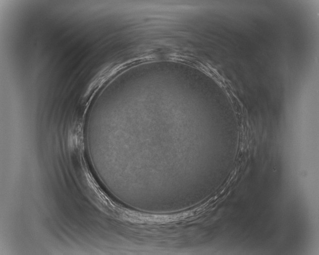 X0000078880002200611131255
