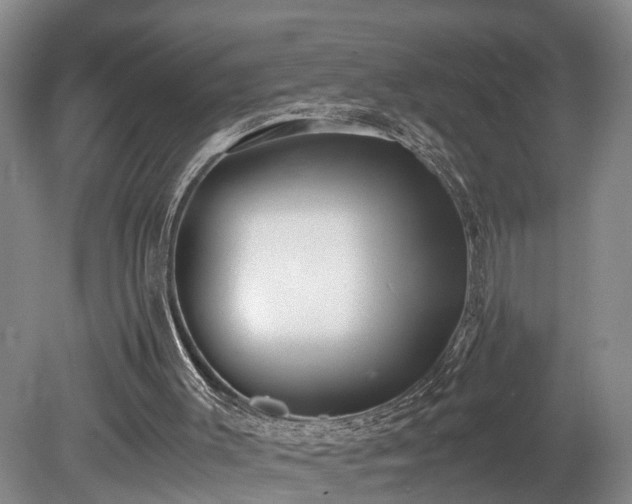 X0000078880003200611131255
