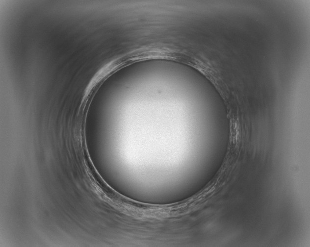 X0000078880004200611131255