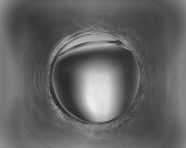 X0000078880007200611131255