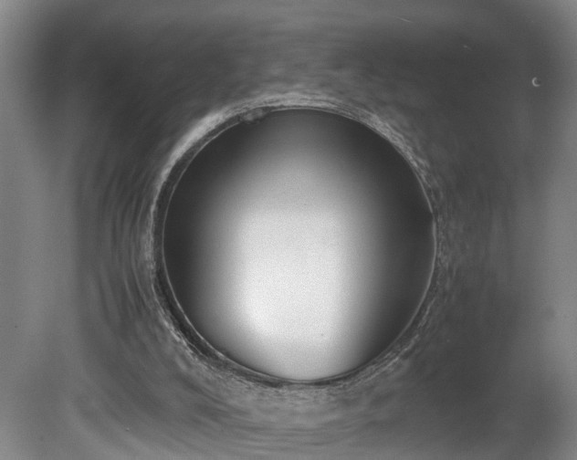 X0000078880008200611131255