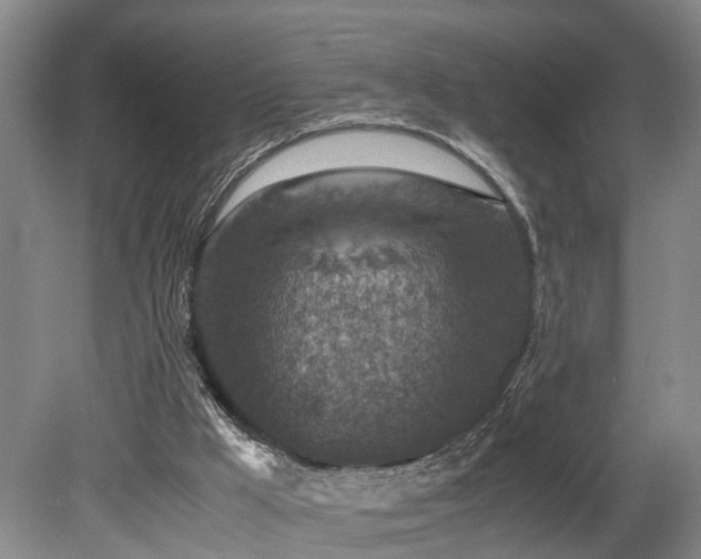 X0000078880009200611131255