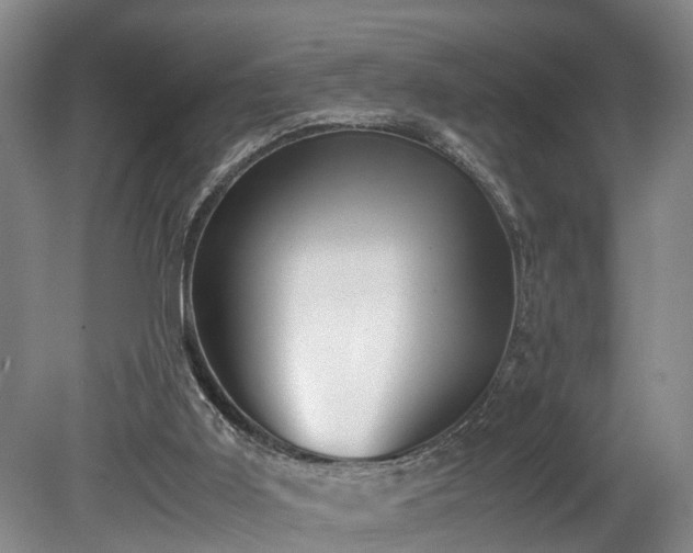 X0000078880011200611131255