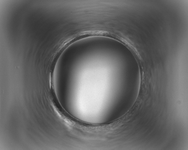 X0000078880013200611131254