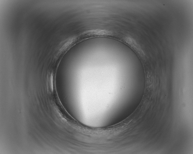 X0000078880014200611131254