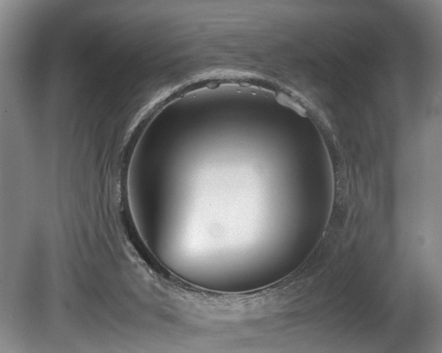 X0000078880015200611131254