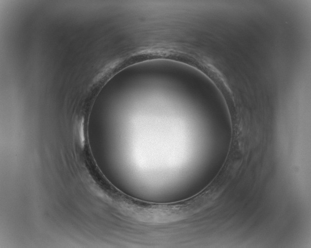 X0000078880020200611131254