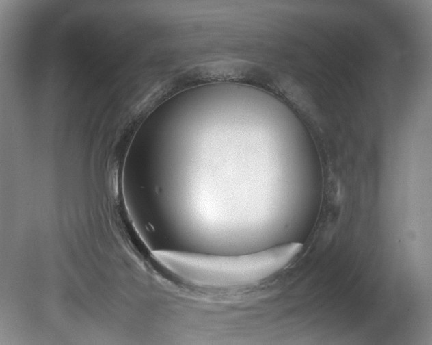 X0000078880021200611131254