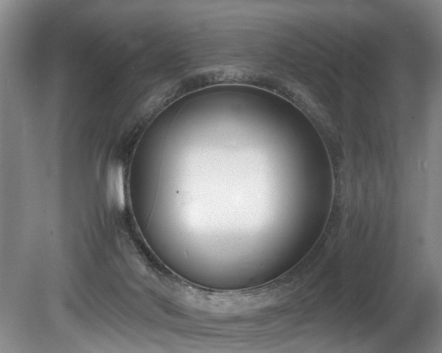 X0000078880022200611131254