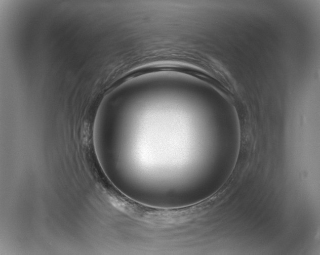 X0000078880025200611131254