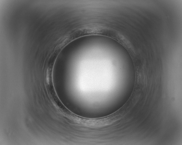X0000078880026200611131254