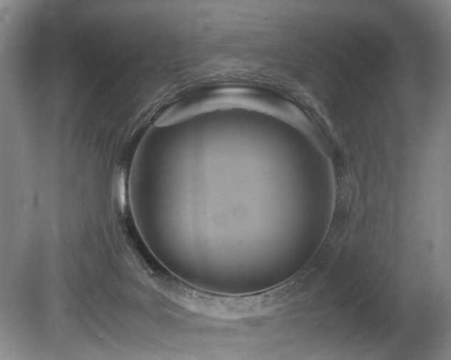 X0000078880027200611131254