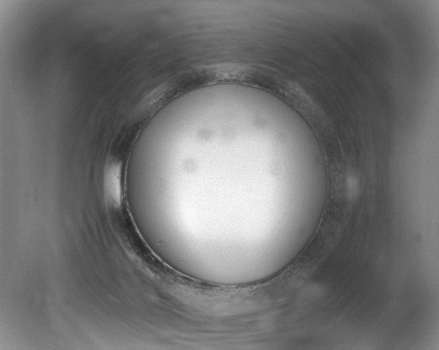X0000078880028200611131254