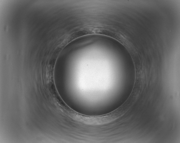 X0000078880030200611131254