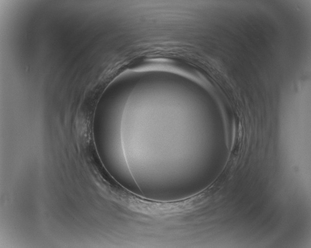 X0000078880031200611131254