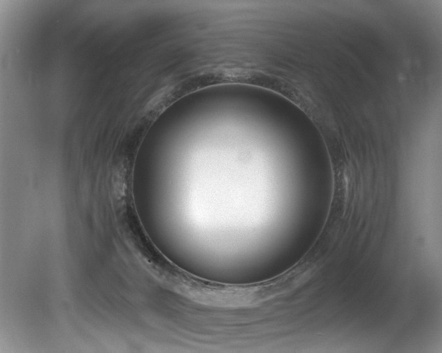 X0000078880032200611131254