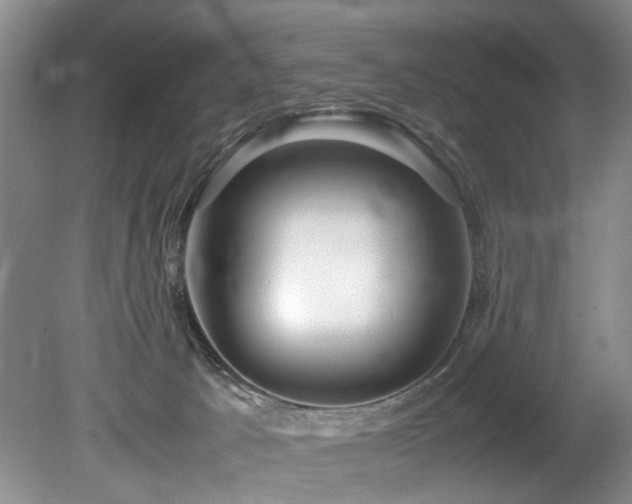 X0000078880033200611131254
