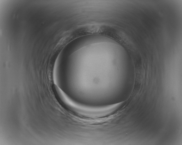 X0000078880035200611131254