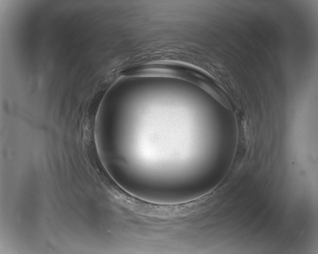 X0000078880037200611131254