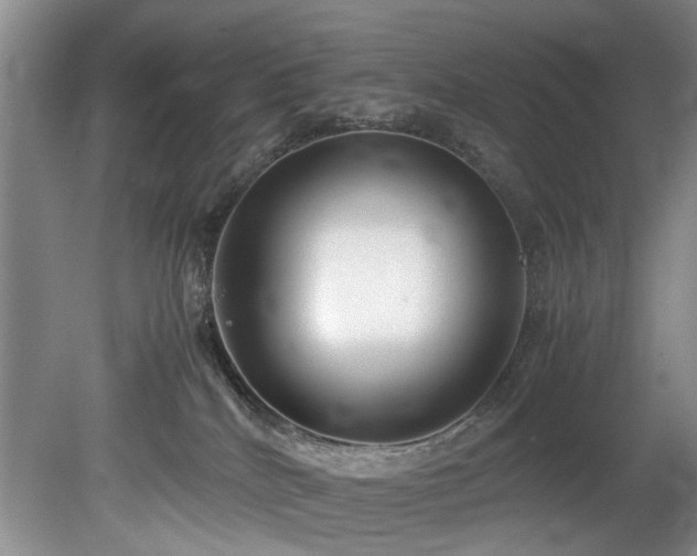 X0000078880040200611131254