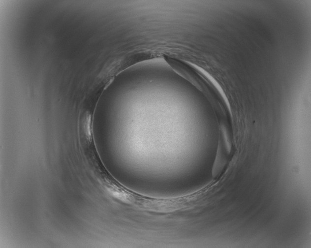 X0000078880041200611131254