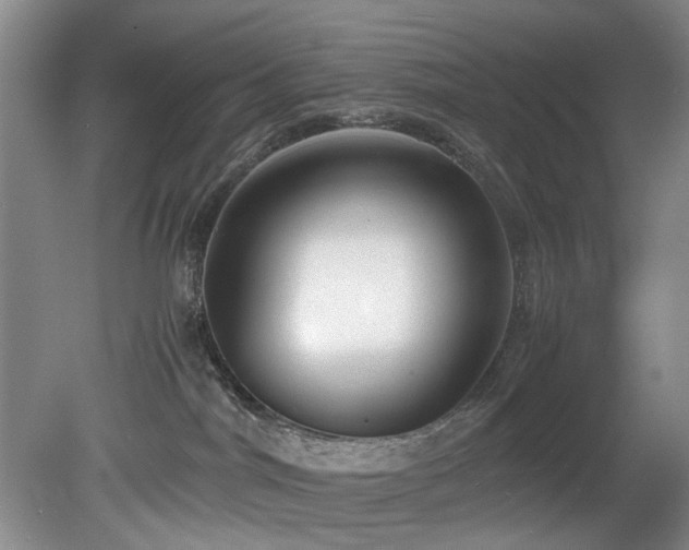 X0000078880044200611131254