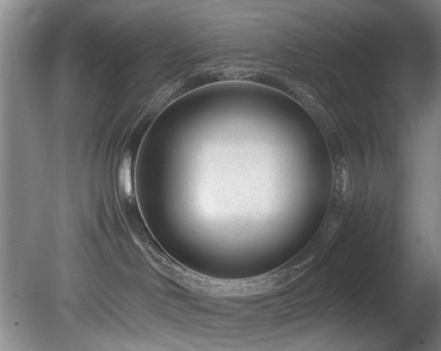 X0000078880046200611131254