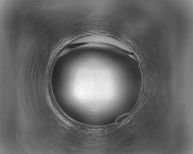 X0000078880049200611131253